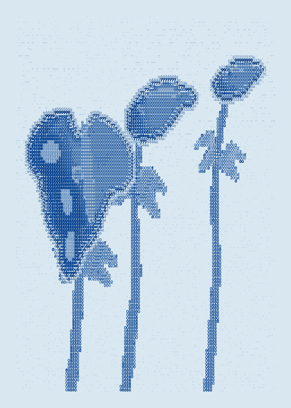 Three blue Anthurium forms at different heights with slender stems and sparse leaves on pale blue paper.
