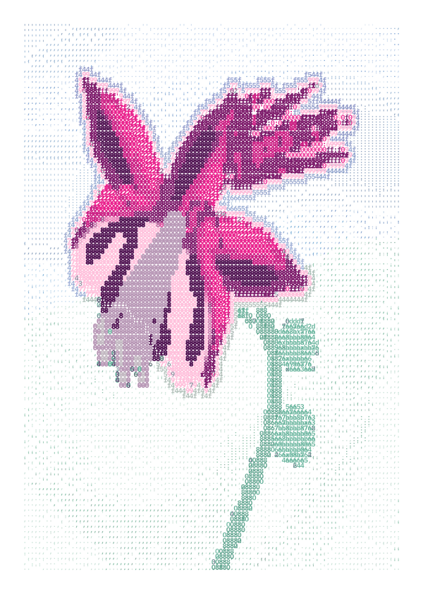 A single magenta columbine with sharply divided plum folds, mint stem and pale blue marks on white.
