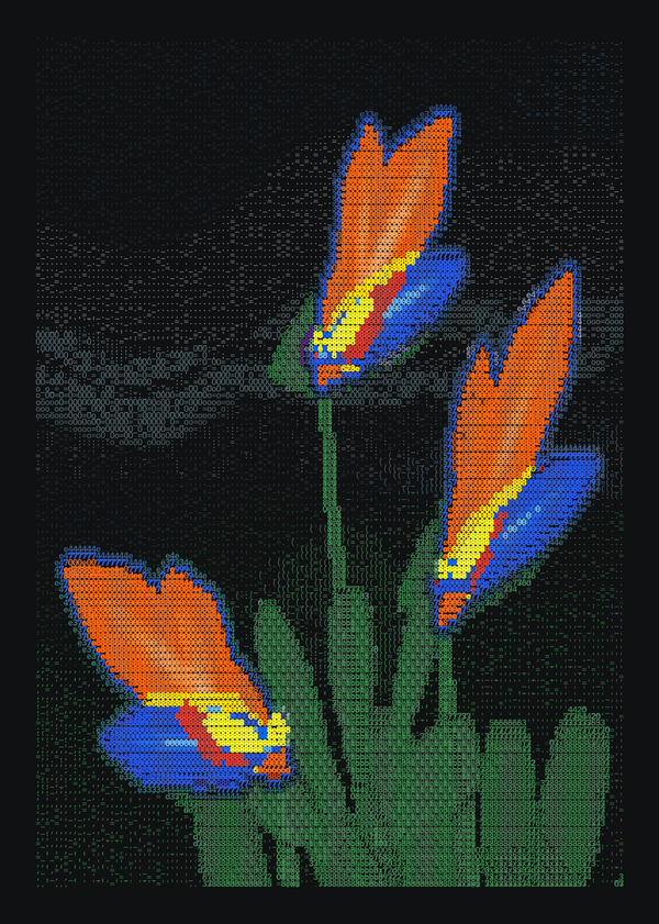 Three orange and cobalt Strelitzia heads rise at contrasting angles against black, with green foliage and fine typographic clouds.